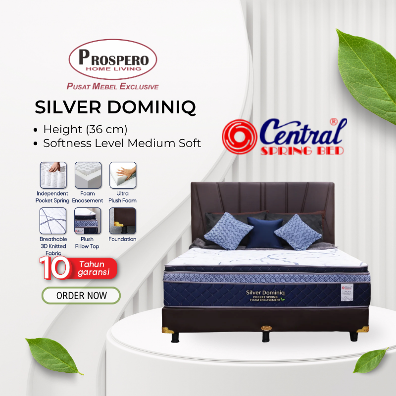 CENTAL SILVER DOMINIQ